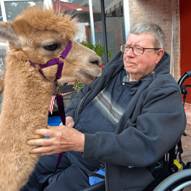 Senior Animal Therapy